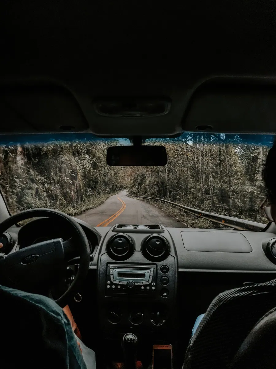 Výhled z automobilu na zelenou krajinu